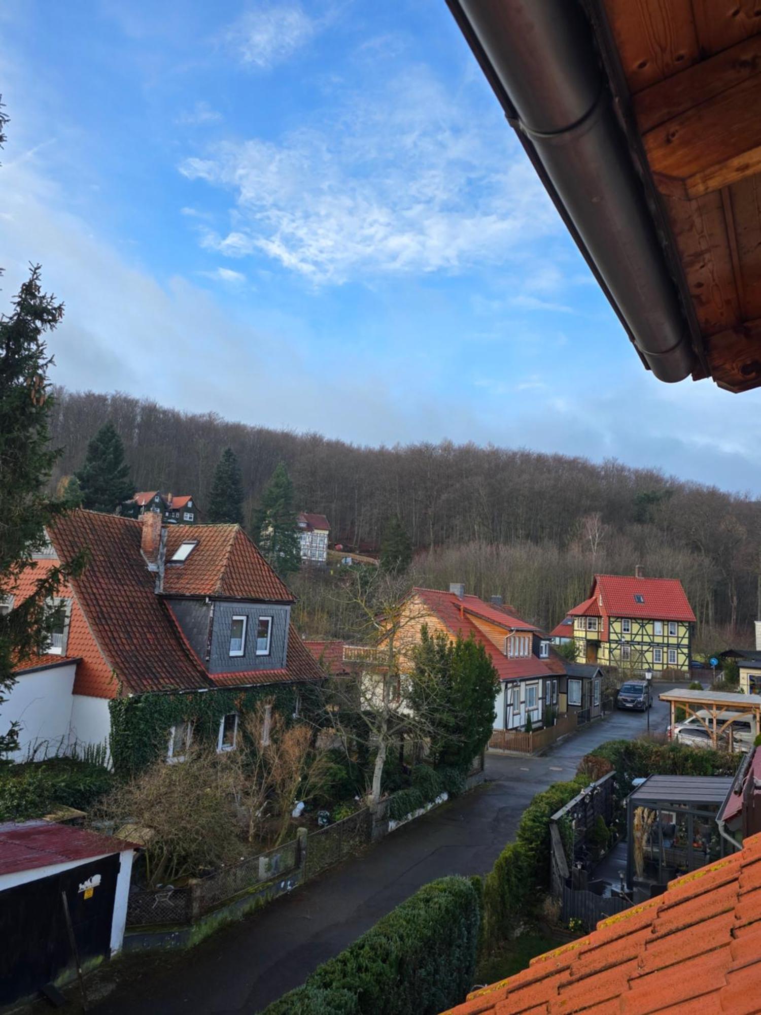 Tenneberger Hike&bike Homestay *